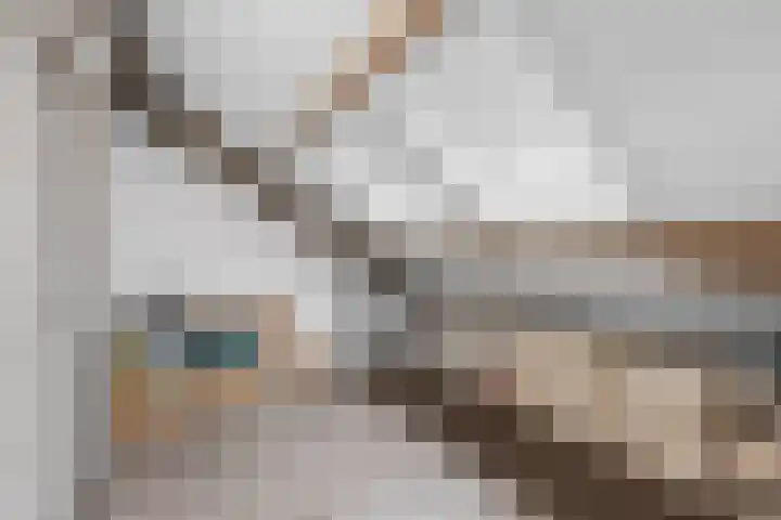 Klaproosberg 4 Roosendaal thumbnail 32