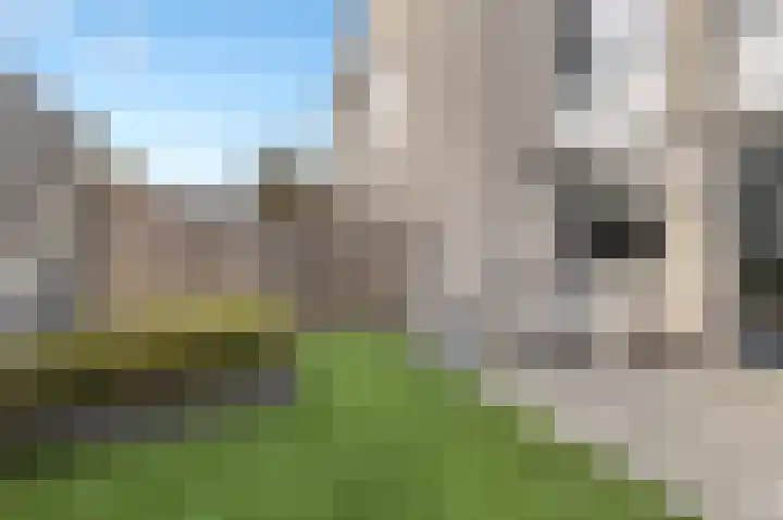 Klaproosberg 4 Roosendaal thumbnail 39