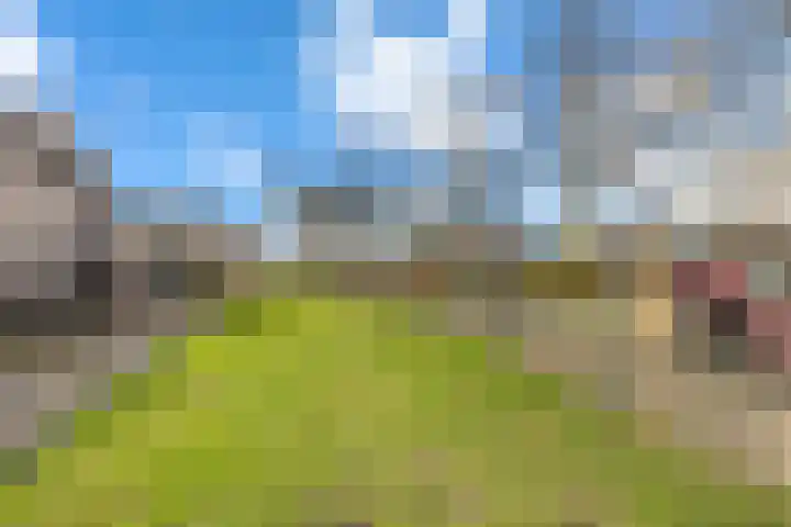 Klaproosberg 4 Roosendaal thumbnail 47