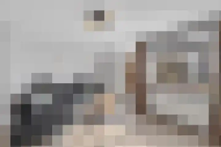Klaproosberg 4 Roosendaal thumbnail 8