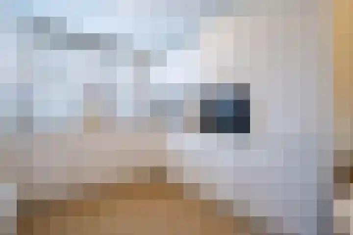 Klaproosberg 6 Roosendaal thumbnail 7
