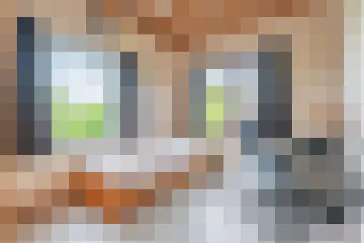 Klaprooshof 20 Voorhout thumbnail 22