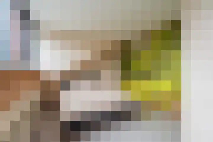 Klaprooshof 20 Voorhout thumbnail 24