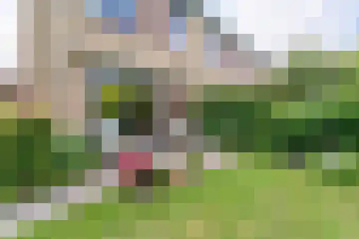 Klaprooshof 20 Voorhout thumbnail 27