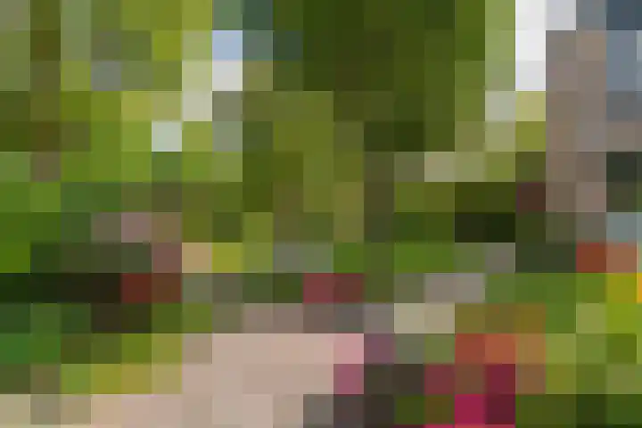 Klaprooshof 20 Voorhout thumbnail 28