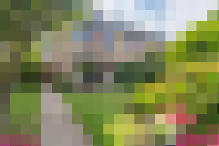 Klaprooshof 20 Voorhout thumbnail 29