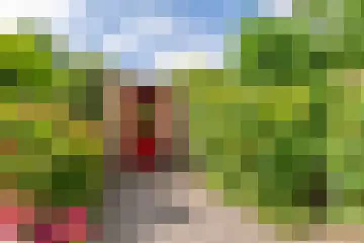 Klaprooshof 20 Voorhout thumbnail 30