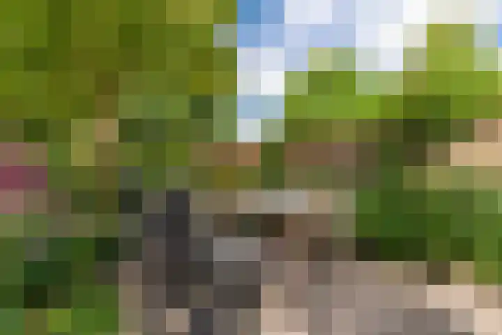 Klaprooshof 20 Voorhout thumbnail 31