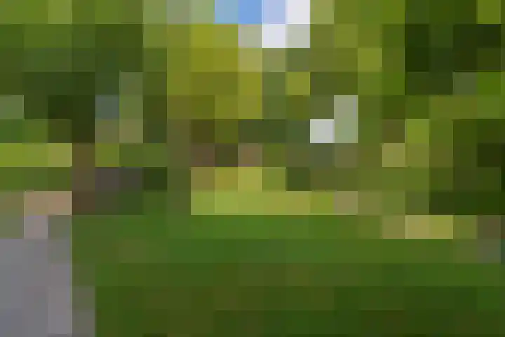 Klaprooshof 20 Voorhout thumbnail 33