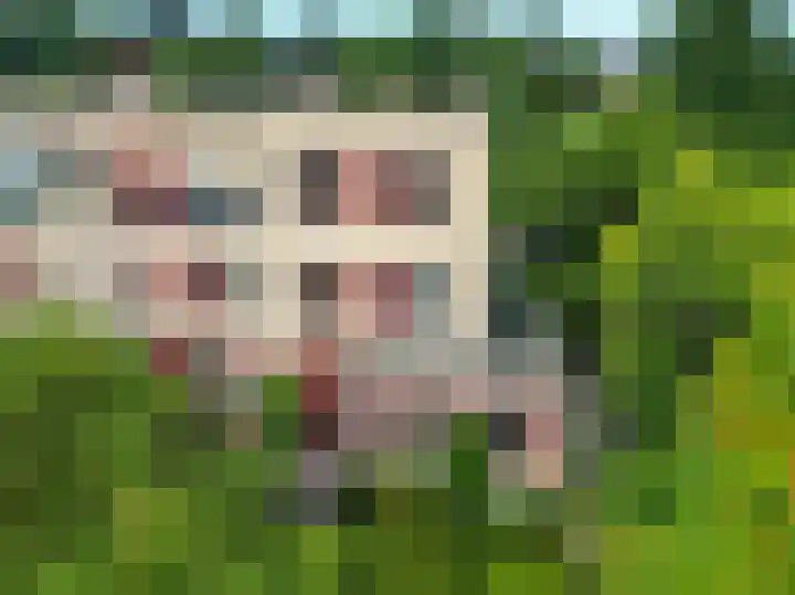 Klaprooshof 20 Voorhout thumbnail 34