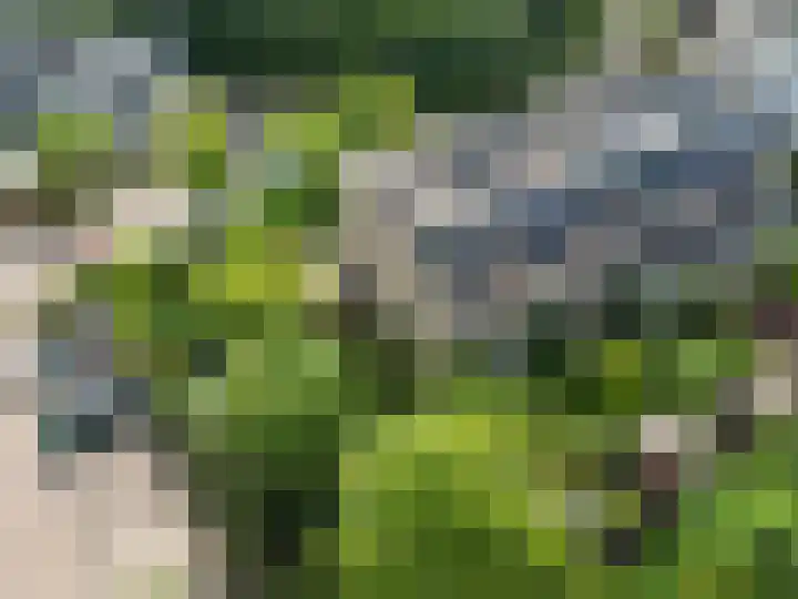 Klaprooshof 20 Voorhout thumbnail 35