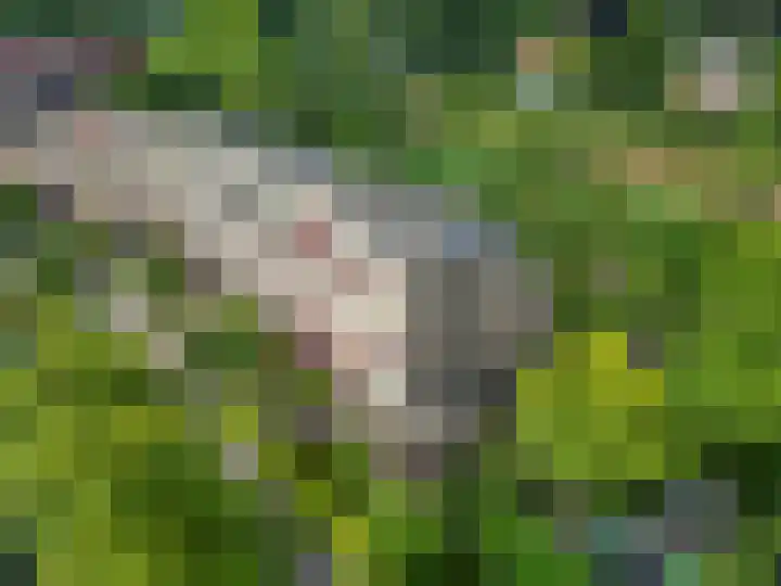 Klaprooshof 20 Voorhout thumbnail 37