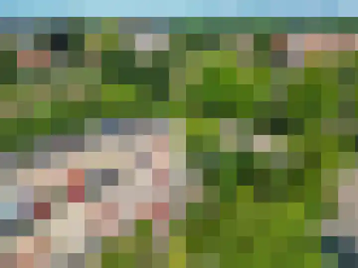 Klaprooshof 20 Voorhout thumbnail 38