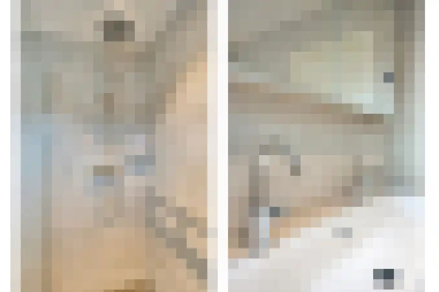 Klaprooshof 5 Nuenen thumbnail 26