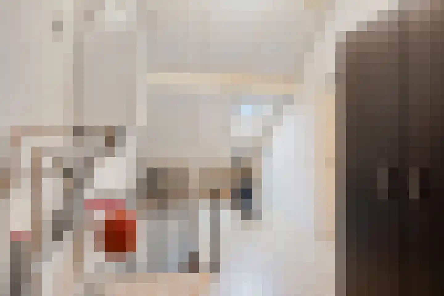 Klaprooshof 5 Nuenen thumbnail 27