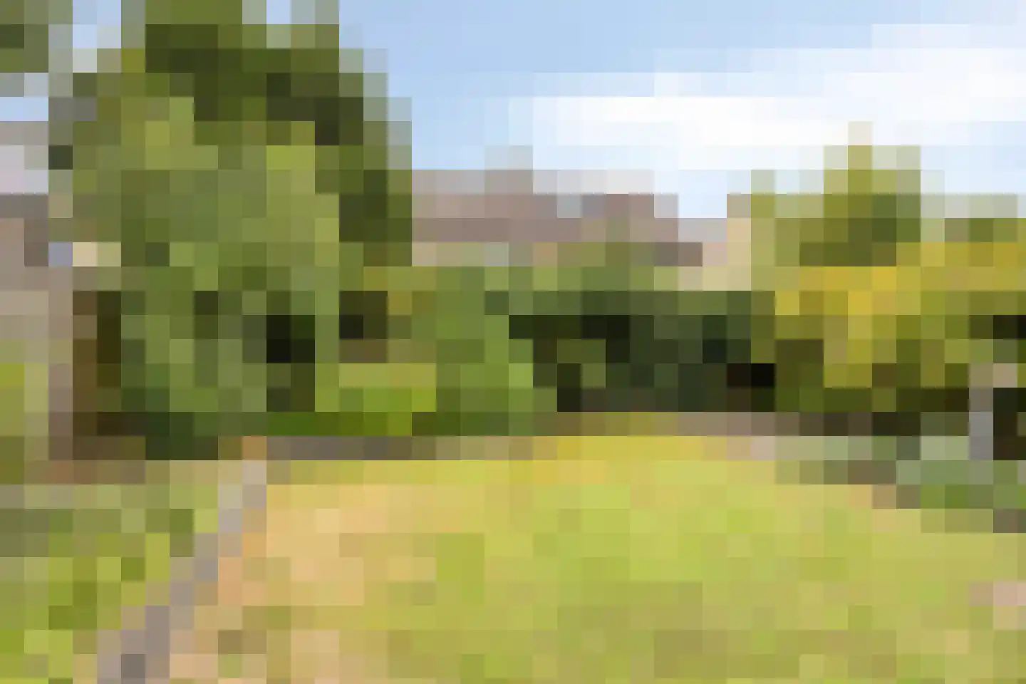 Klaprooshof 5 Nuenen thumbnail 30
