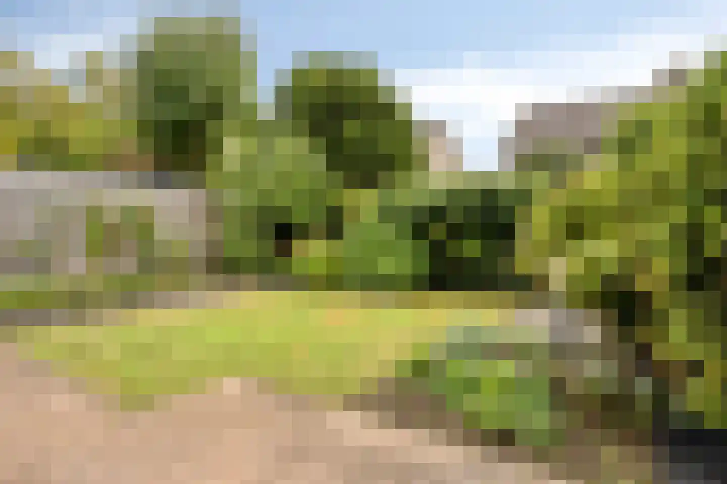 Klaprooshof 5 Nuenen thumbnail 31