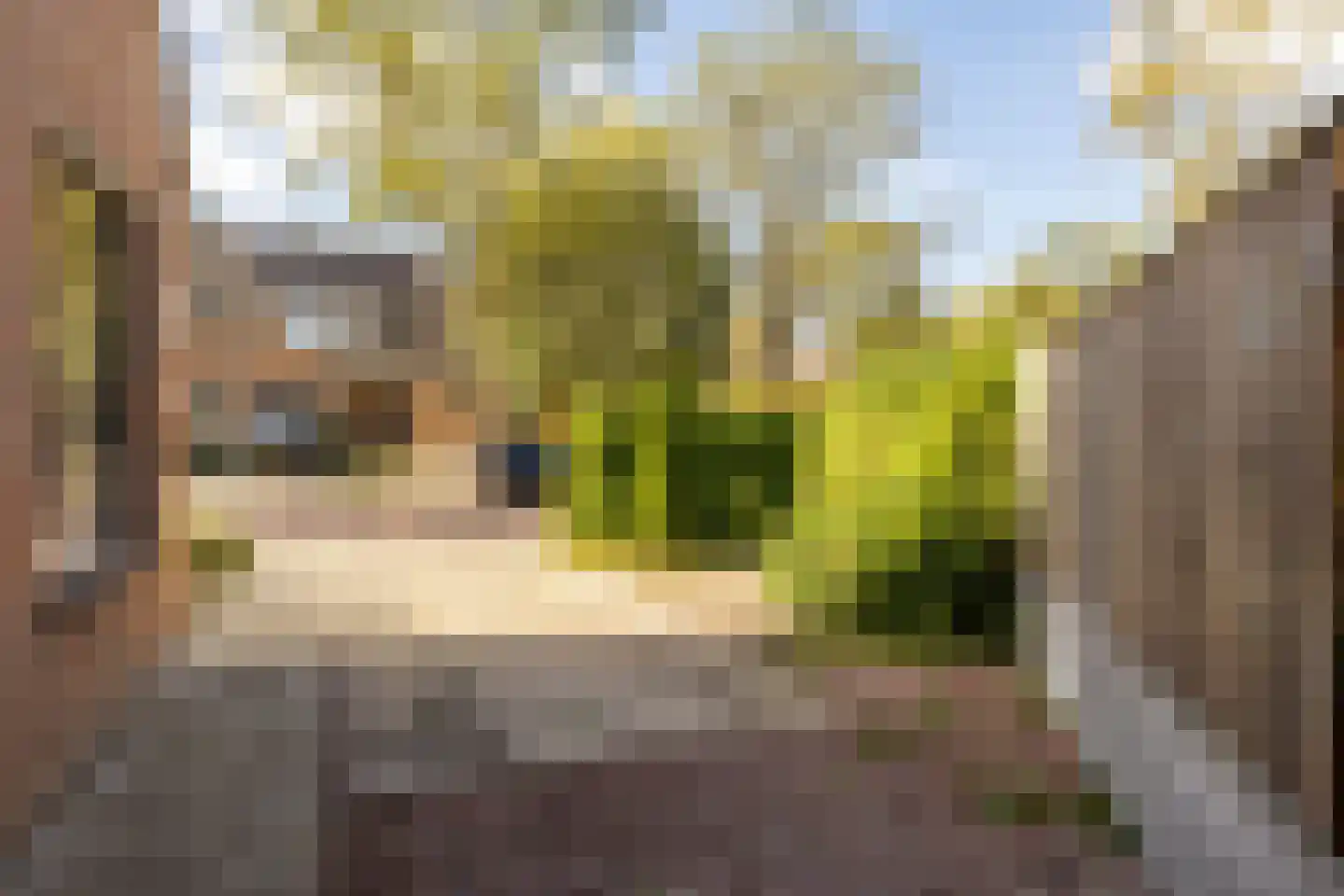 Klaprooslaan 1 's-Gravendeel thumbnail 28