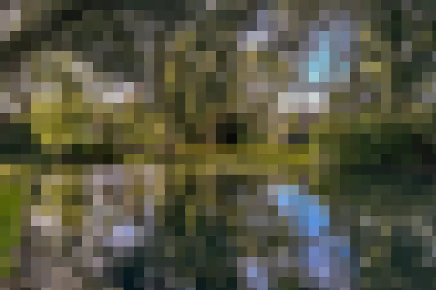 Klaprooslaan 1 's-Gravendeel thumbnail 32