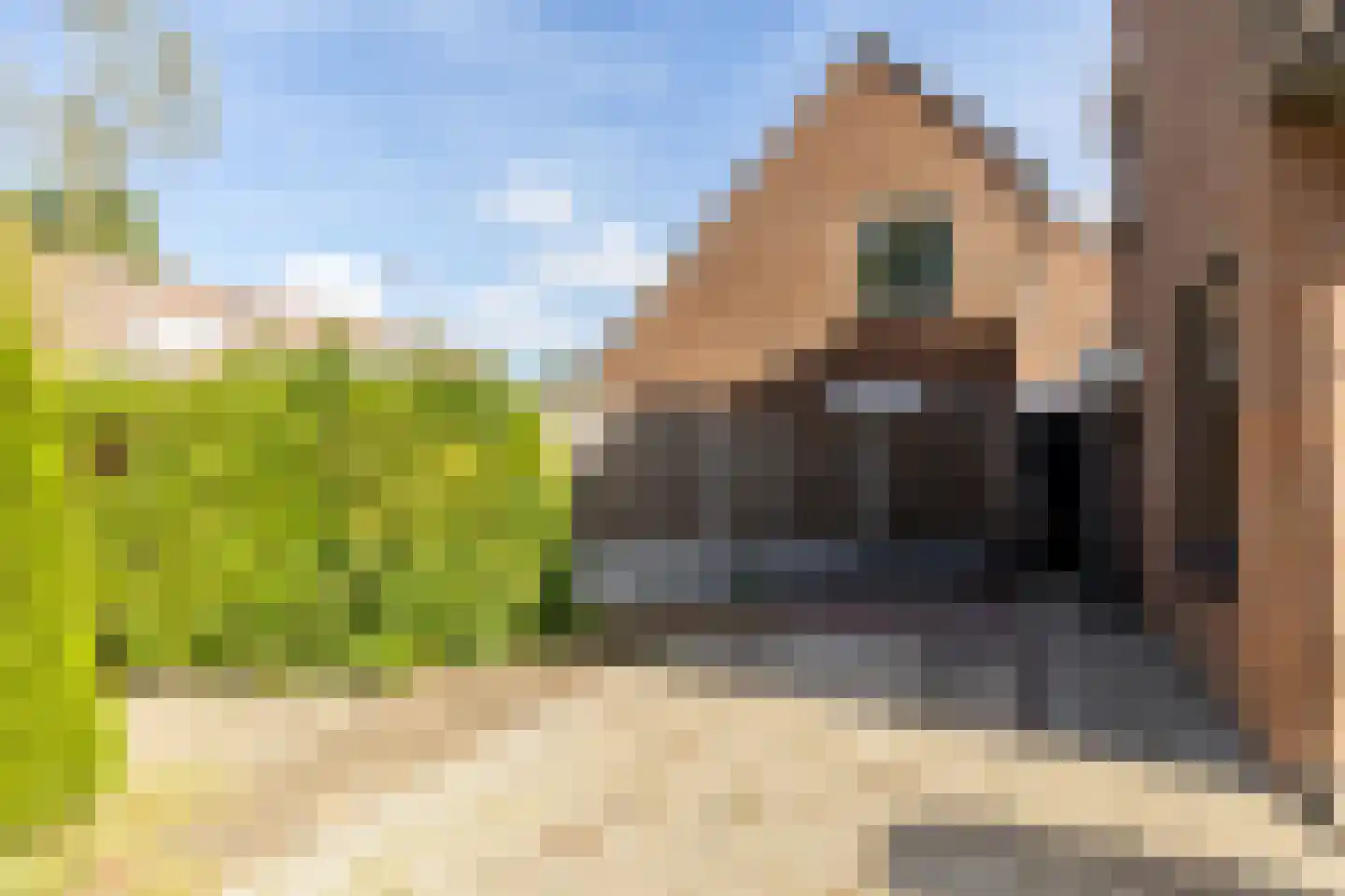 Klaprooslaan 1 's-Gravendeel thumbnail 4