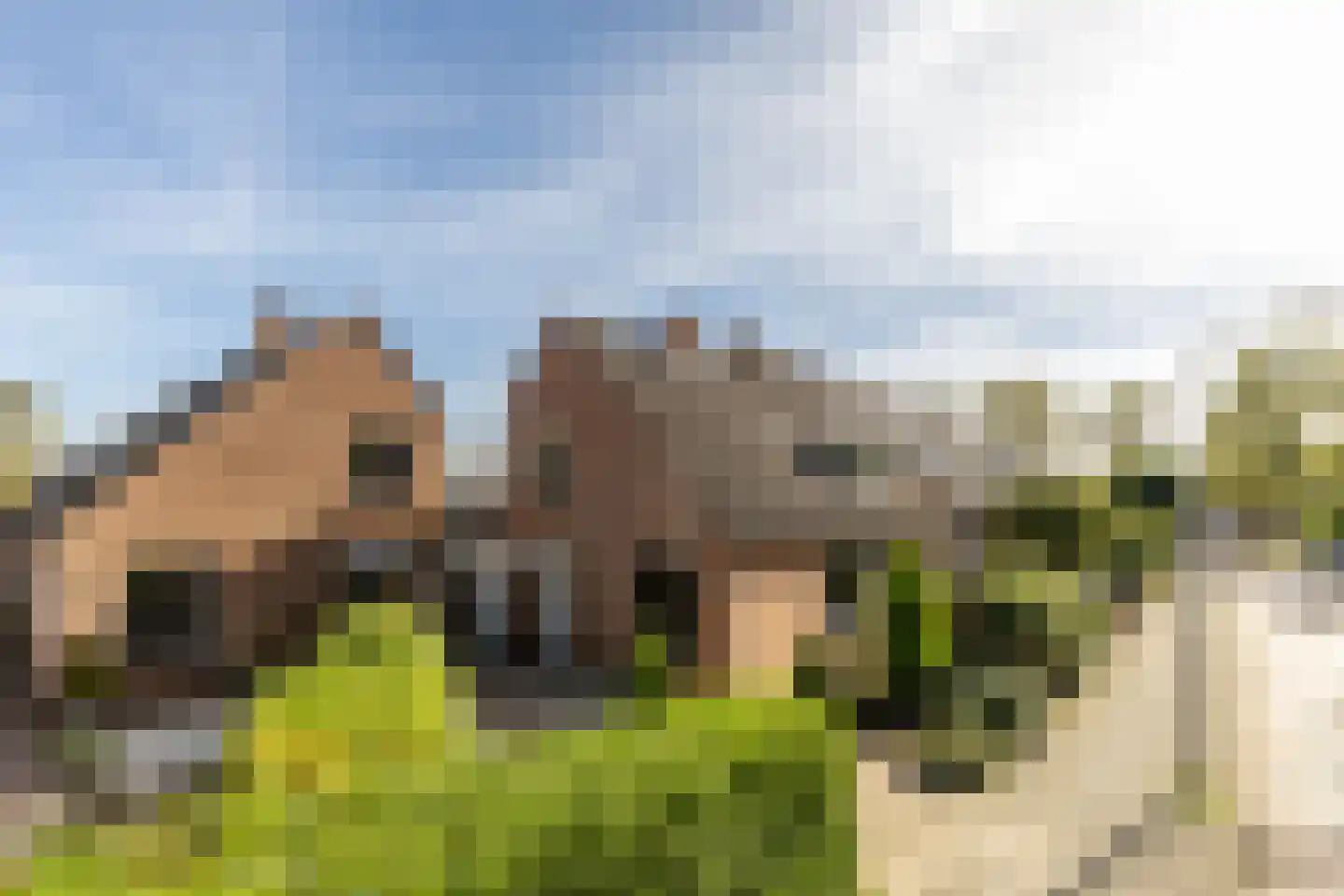 Klaprooslaan 1 's-Gravendeel thumbnail 7