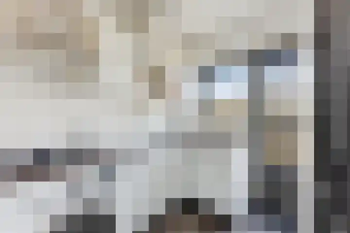 Klaprooslaan 105 Rotterdam thumbnail 11
