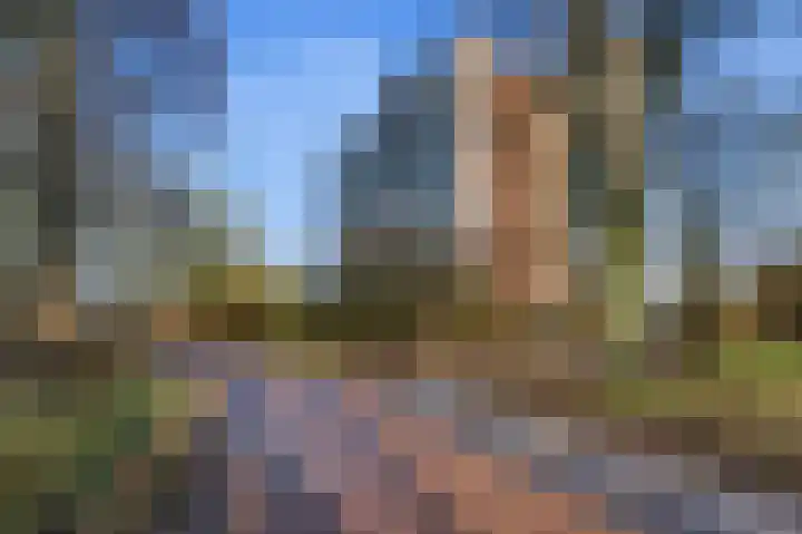 Klaprooslaan 105 Rotterdam thumbnail 23