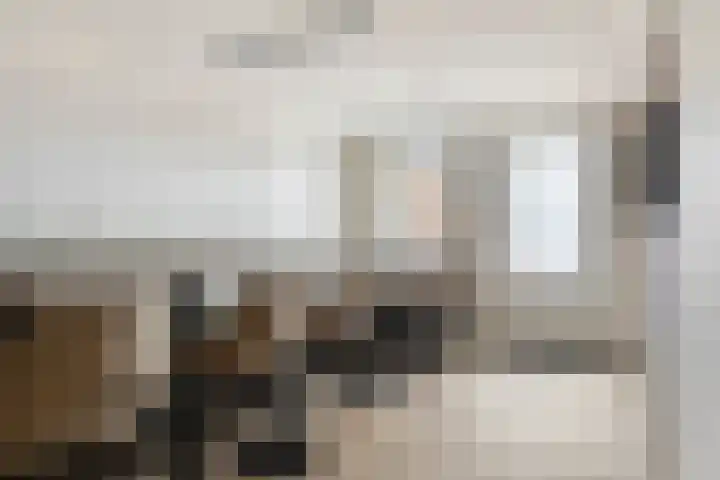 Klaprooslaan 16 Beilen