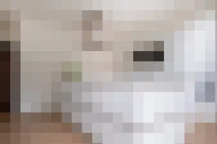 Klaprooslaan 16 Beilen thumbnail 14