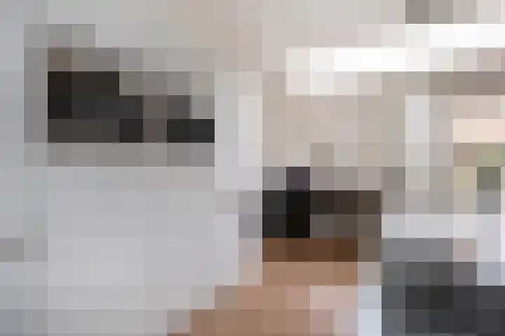Klaprooslaan 16 Beilen thumbnail 18