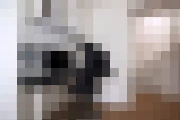Klaprooslaan 16 Beilen thumbnail 33