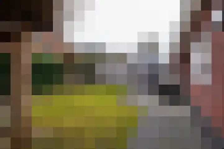 Klaprooslaan 16 Beilen thumbnail 43