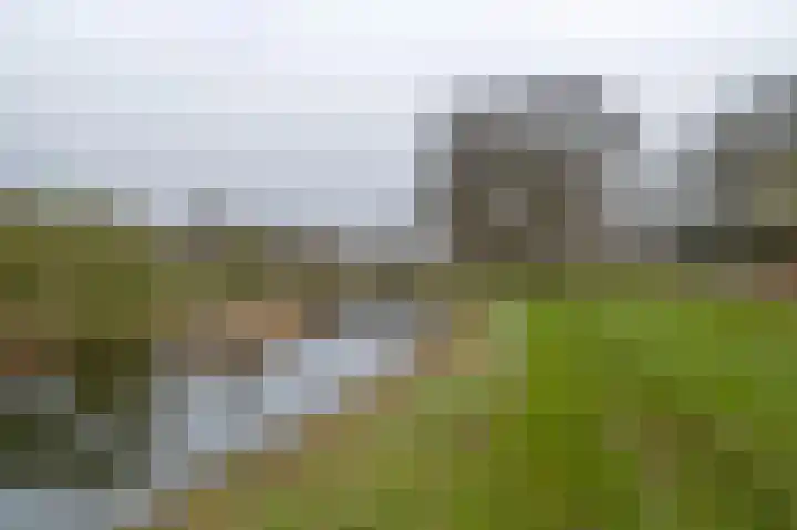 Klaprooslaan 16 Beilen thumbnail 48