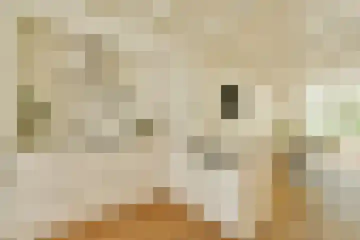 Klaprooslaan 16 Beilen thumbnail 5