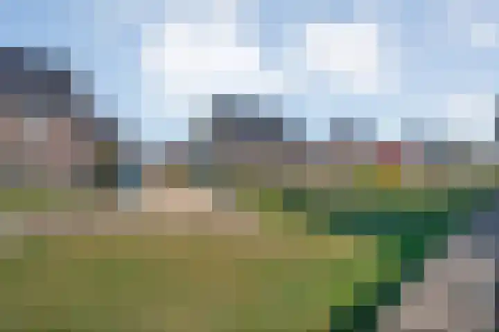Klaprooslaan 16 Beilen thumbnail 52