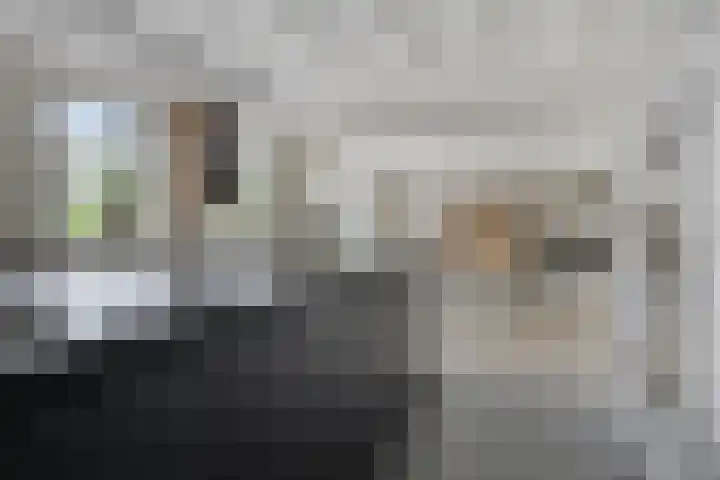 Klaprooslaan 16 Terneuzen thumbnail 15