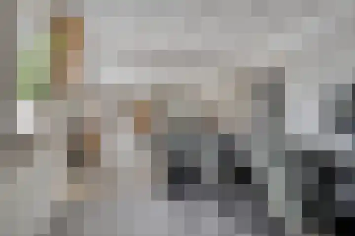 Klaprooslaan 16 Terneuzen thumbnail 16