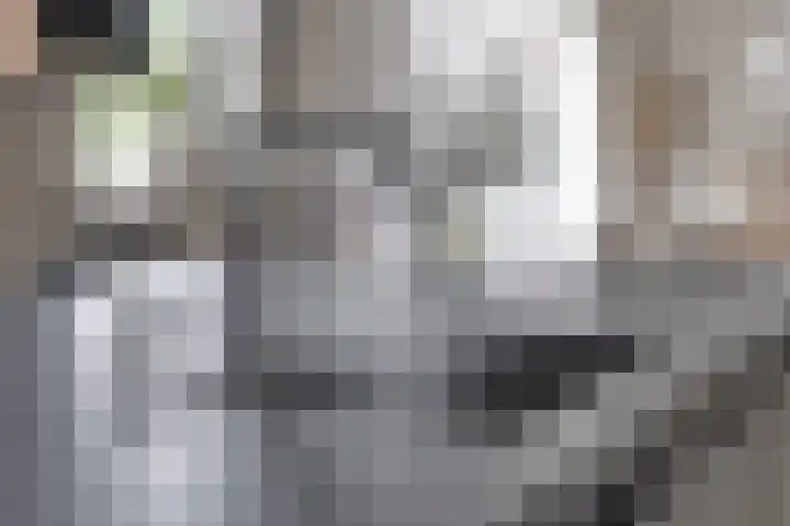 Klaprooslaan 16 Terneuzen thumbnail 18