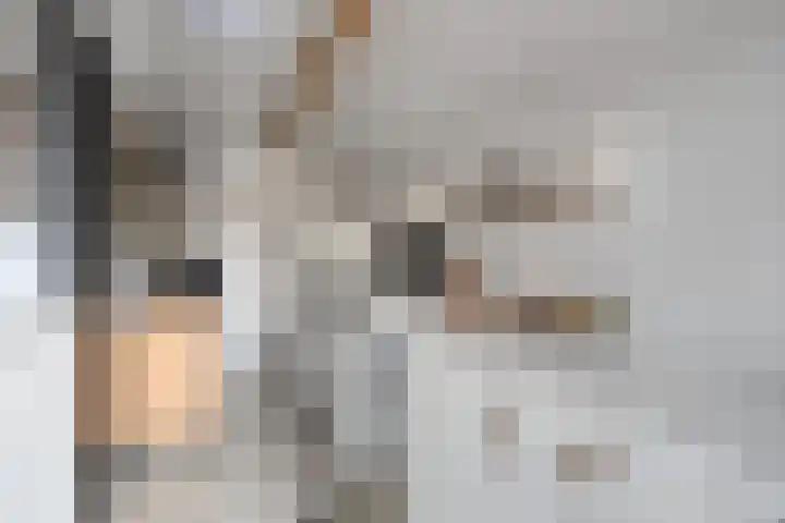 Klaprooslaan 16 Terneuzen thumbnail 20