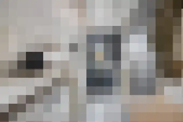 Klaprooslaan 16 Terneuzen thumbnail 21