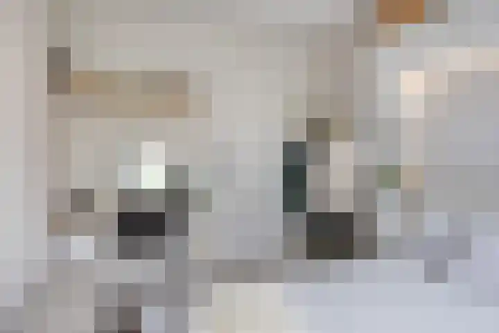 Klaprooslaan 16 Terneuzen thumbnail 23