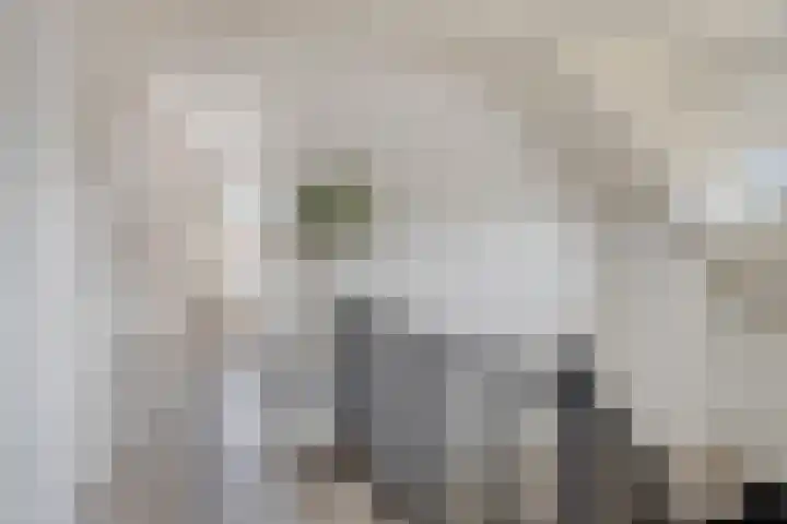 Klaprooslaan 16 Terneuzen thumbnail 24