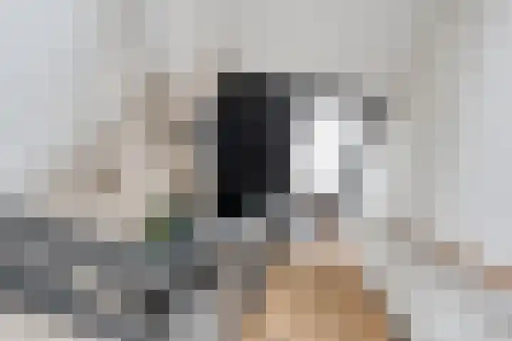 Klaprooslaan 16 Terneuzen thumbnail 26