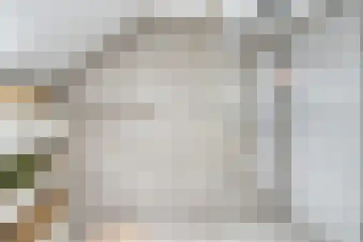 Klaprooslaan 16 Terneuzen thumbnail 32