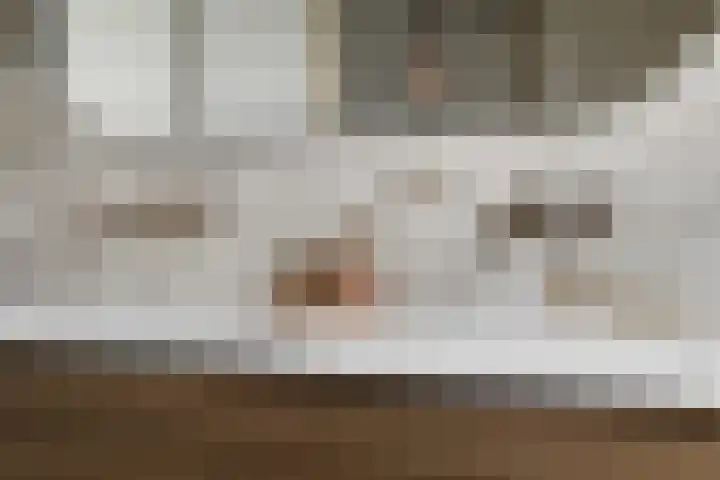 Klaprooslaan 16 Terneuzen thumbnail 33