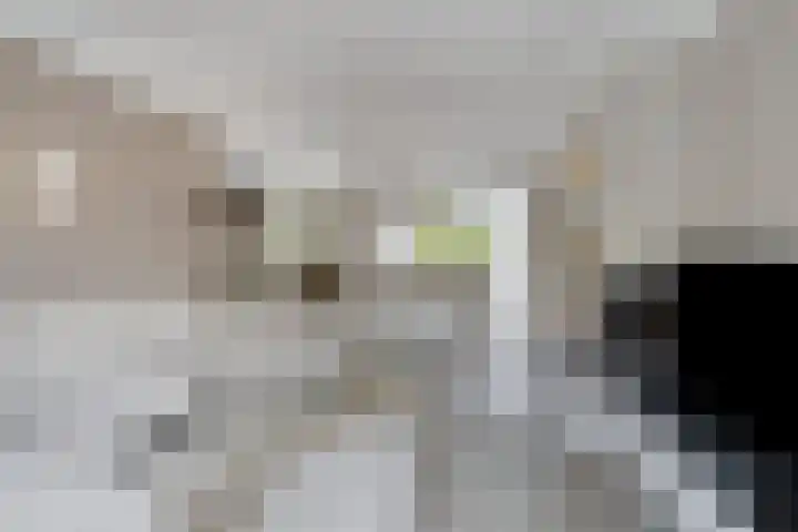 Klaprooslaan 16 Terneuzen thumbnail 4