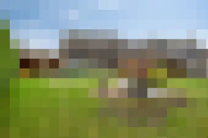 Klaprooslaan 16 Terneuzen thumbnail 40