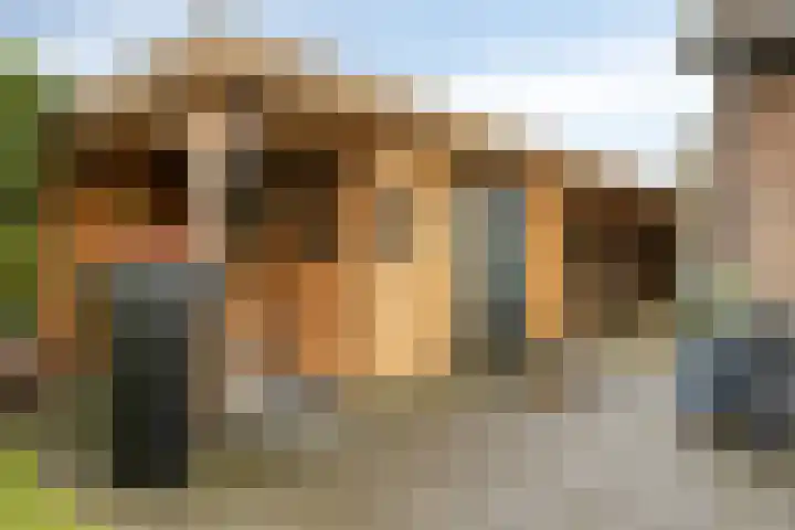 Klaprooslaan 16 Terneuzen thumbnail 44