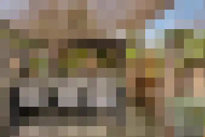 Klaprooslaan 16 Terneuzen thumbnail 46