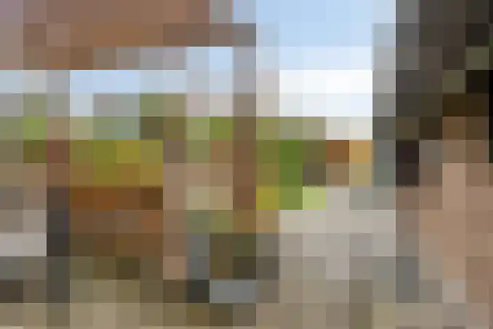Klaprooslaan 16 Terneuzen thumbnail 47